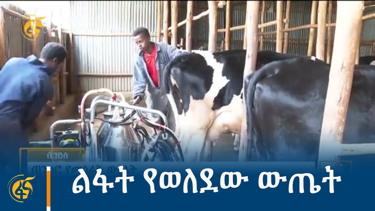 ልፋት የወለደው ውጤት