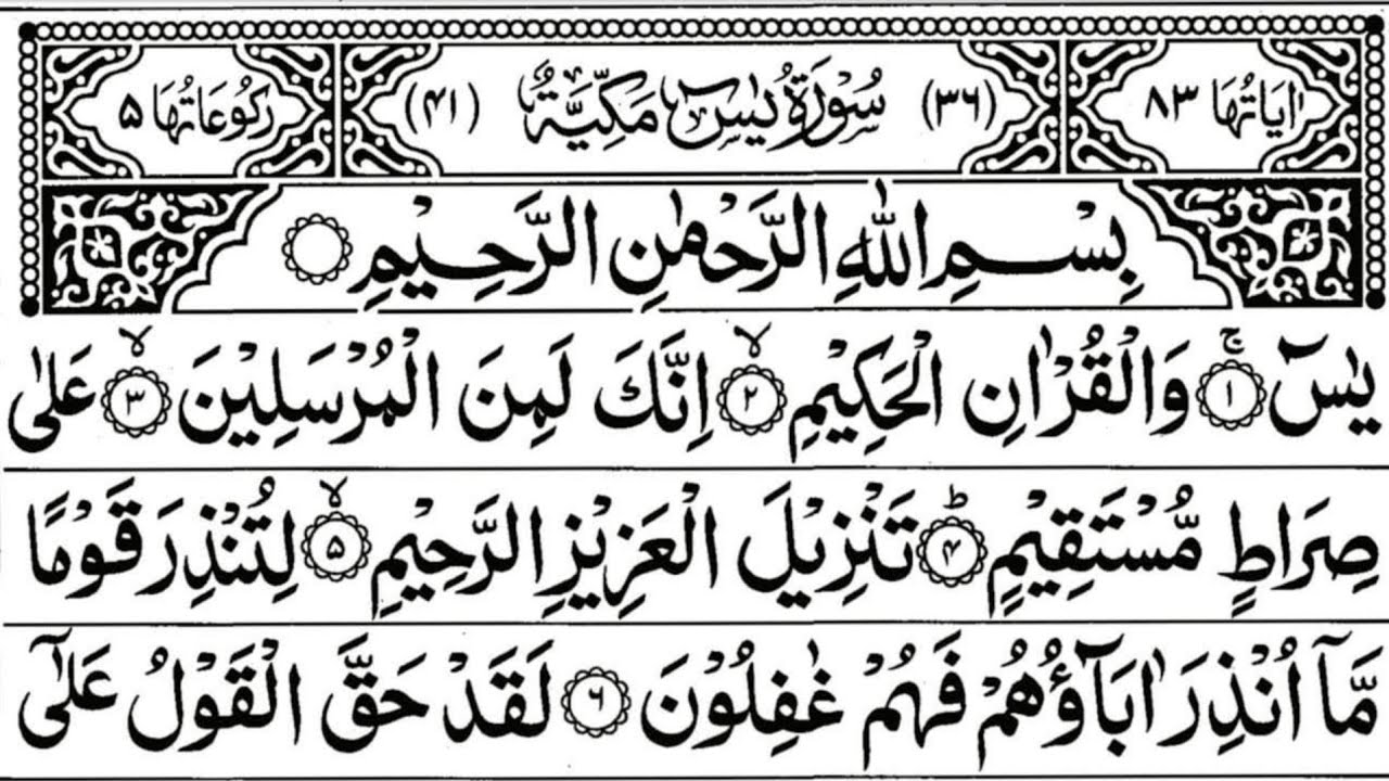 Surah Yaseen Surah Rahman | Viral Quran Recitation | Feel The Power of Allah’s Words 🕋 Ep-00144