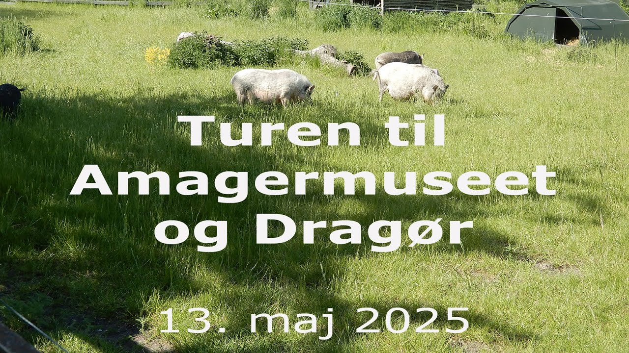 DRAGØR 2025