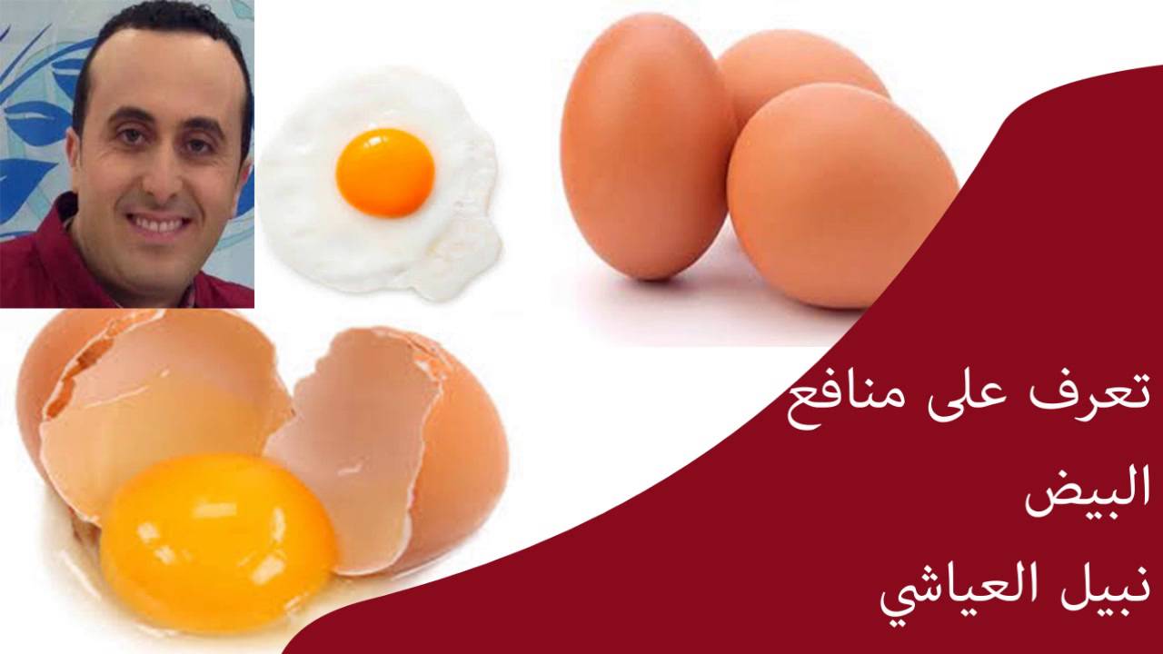 تعرف على منافع البيض | نبيل العياشي اخصائي التغذية