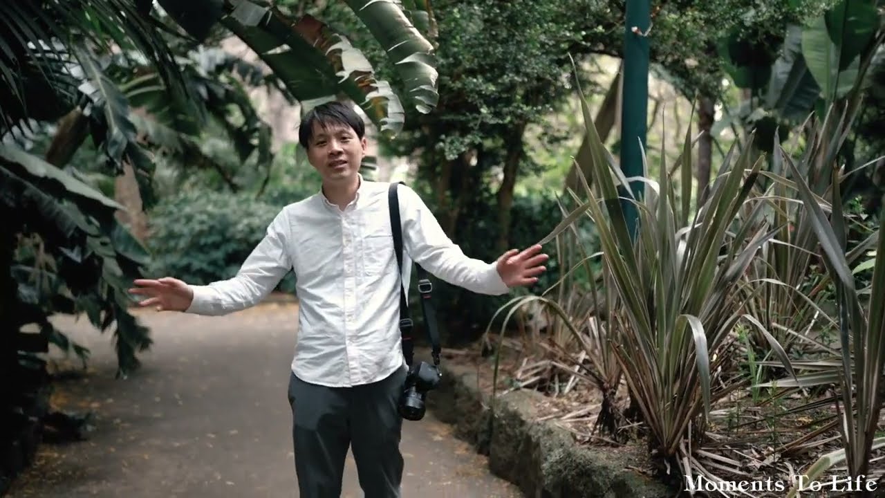 Fitzroy Garden Wedding Photo Locations | | Moments to Life