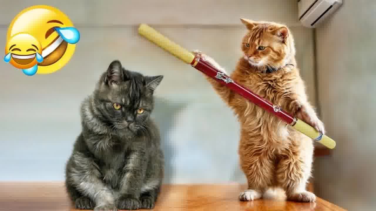 You Laugh You Lose 😂 Funniest Dogs and Cats 2024 😀
