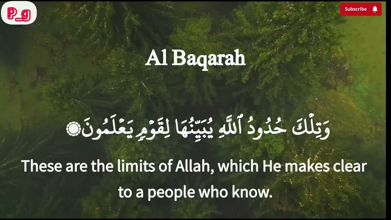Surah Baqarah with Arabia and English Part 5