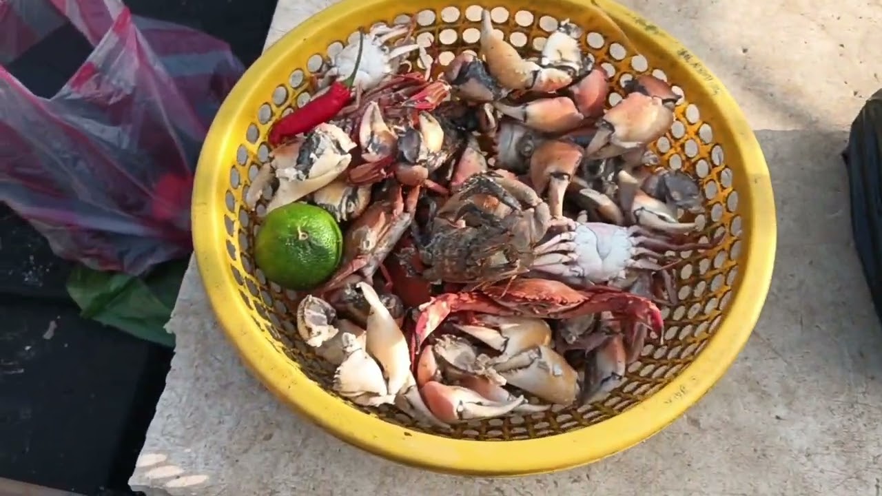 Hôm nay ae tôi vô bầy cá 🐟 đù giật mỗi tay ae ơi 