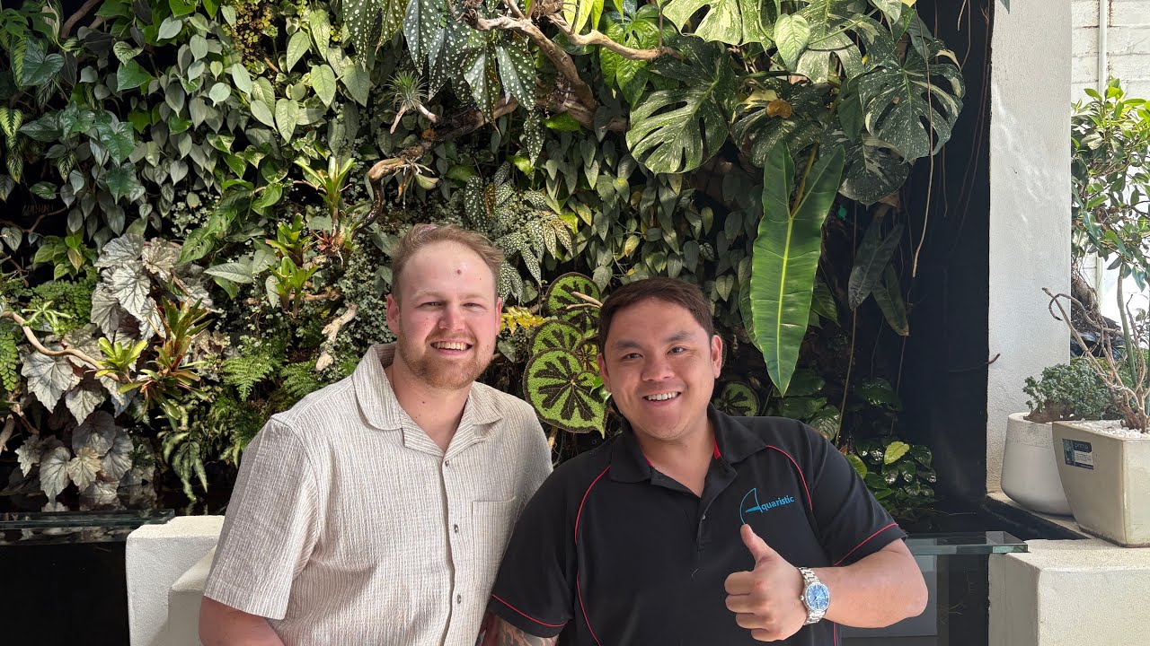 This Sydney Fish Store BLEW OUR MINDS 🤯| Simply Fish x Aquaristic