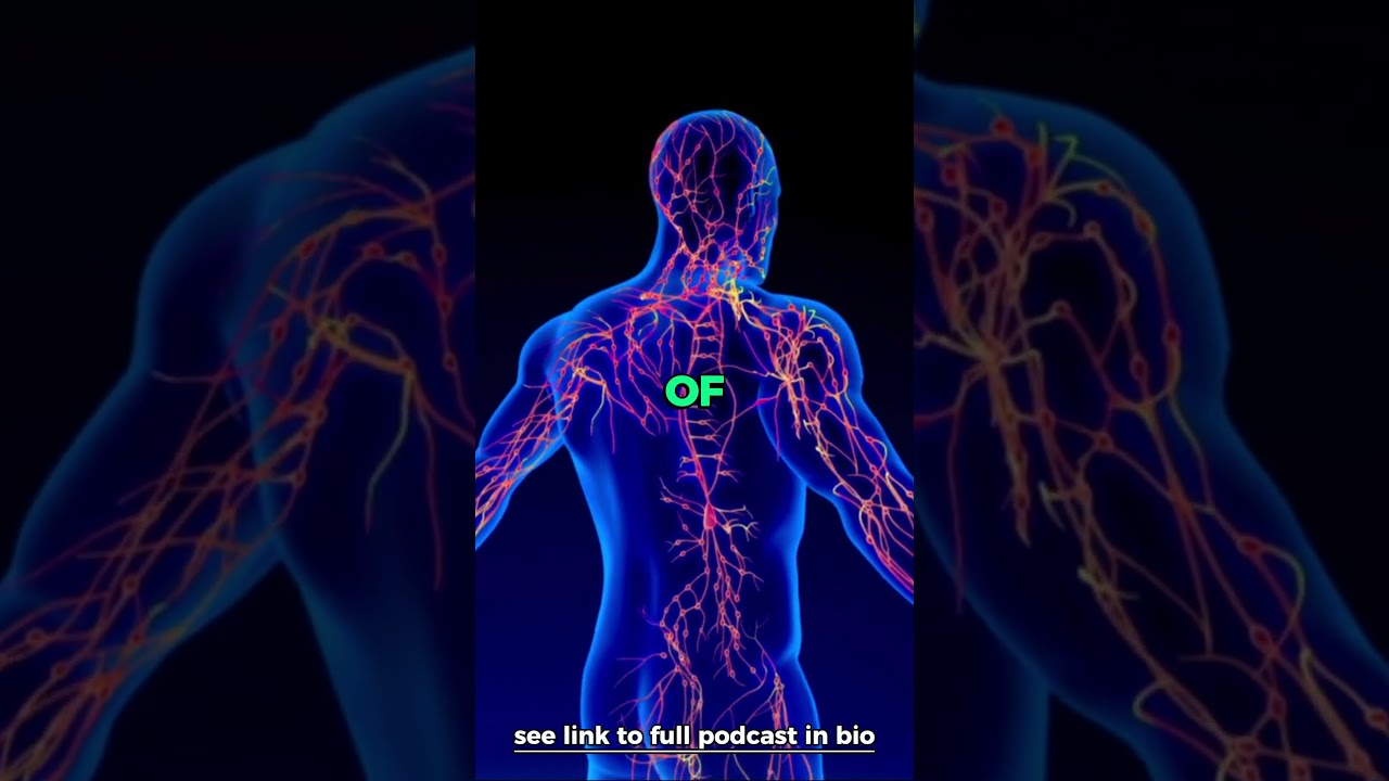 Understanding the Lymphatic System: Natural Detox & Immune Health Tips