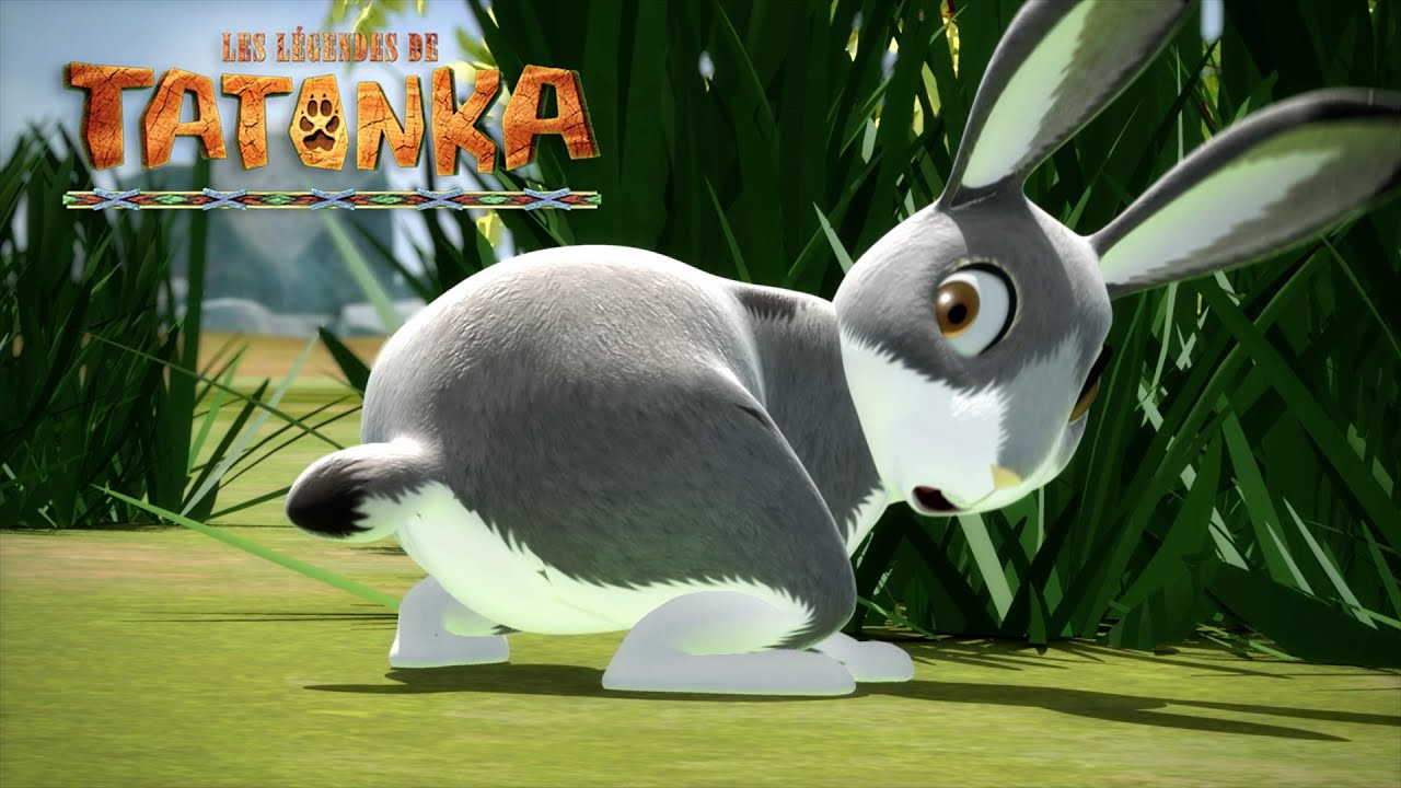 Tatonka la Compil 🐺 Quel est ce son ? 🎵 Dessins anim&eacute;s de loups