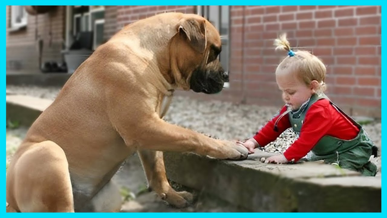 💕Dog Can’t Control His Emotions When He Meets His Baby Sister for the First Time 🐶