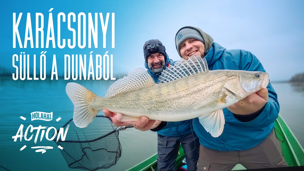 Karácsonyi Süllő a Dunából