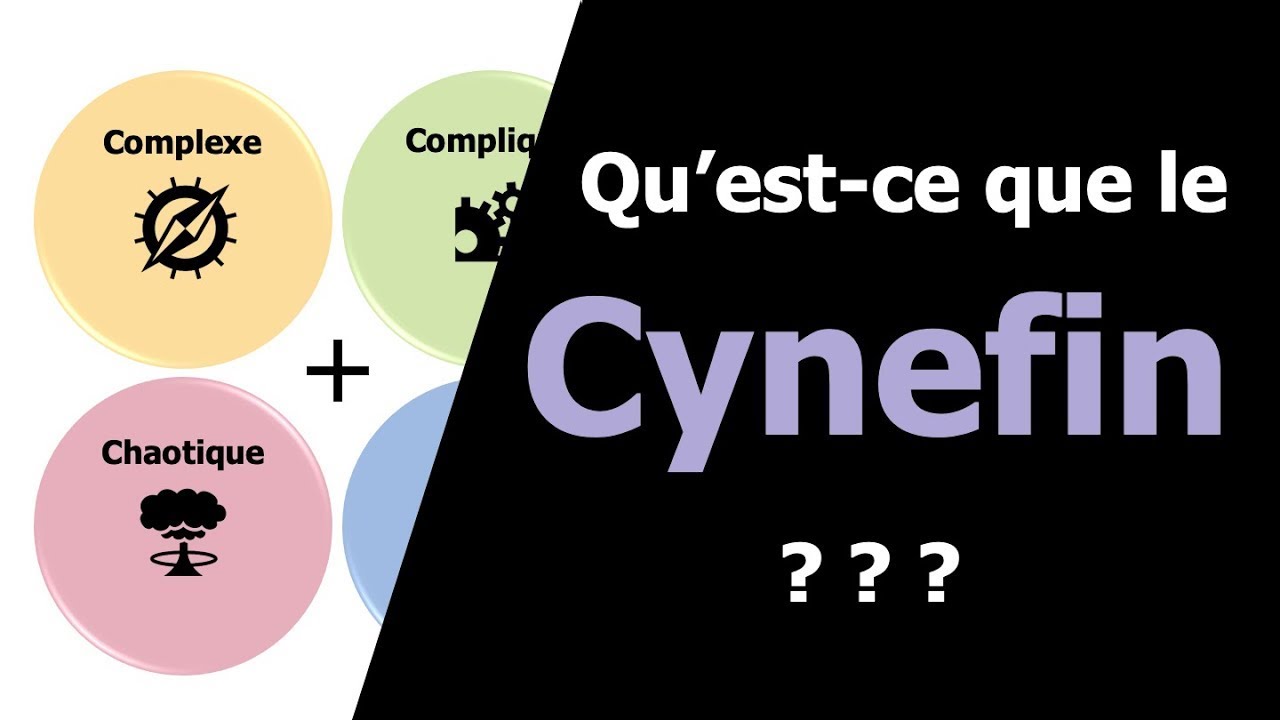 S'adapter à son contexte : le Cynefin