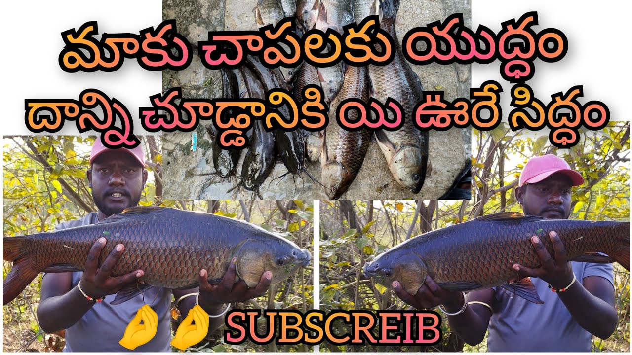 FISHING VIDEOS BIG fish #rohufishing #vairal #youtubevideos #hookfishing @Nani's Gang Village Life