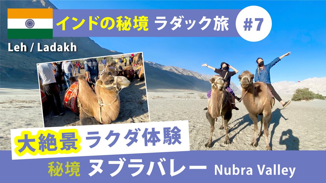 【インドの秘境ラダック旅 #7】パノラマ大絶景のヌブラバレー(Nubra Valley)でふたこぶラクダ体験！