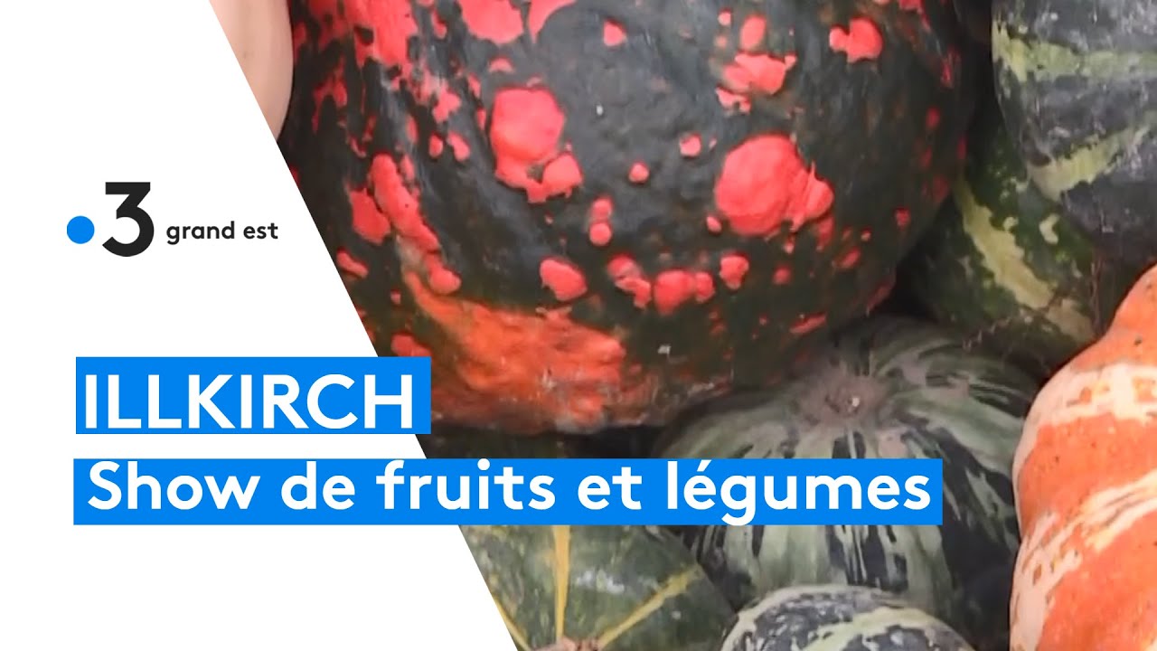 Grand show de fruits et légumes à Illkirch