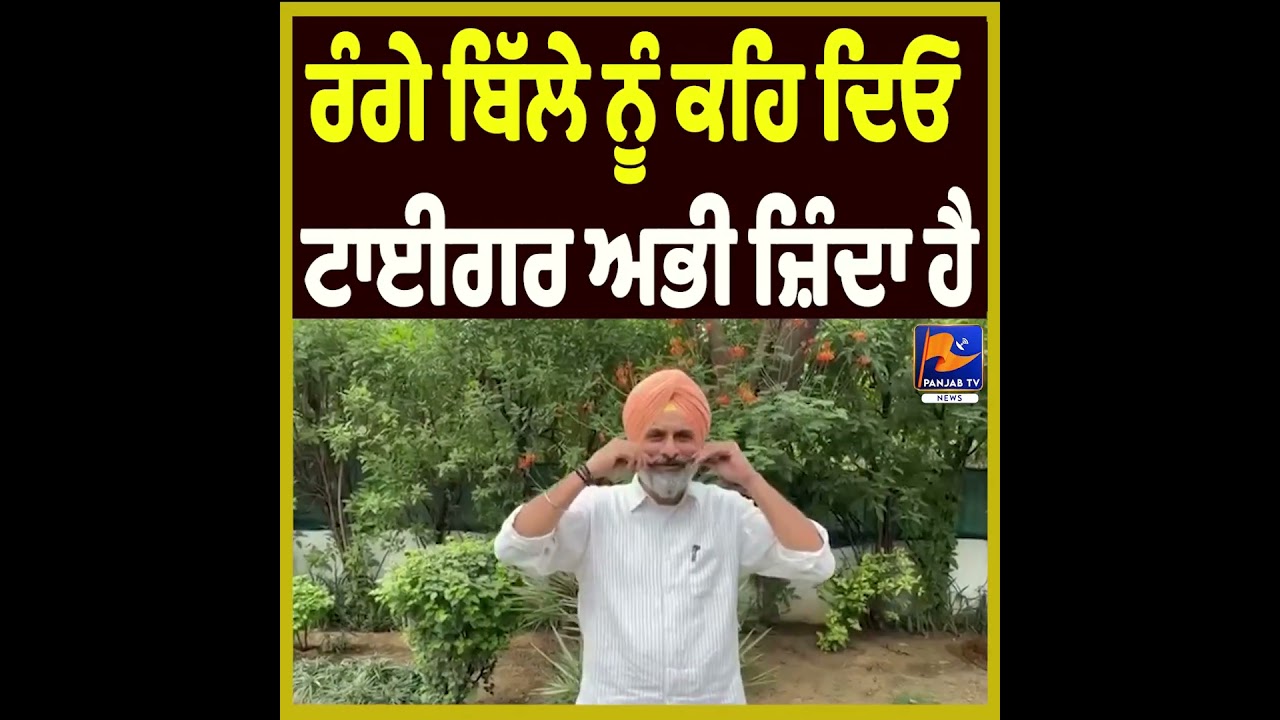 &ldquo;😂Tell Range Billa, the Tiger Is Still Alive 😎&rdquo; Says Bikram Majithia