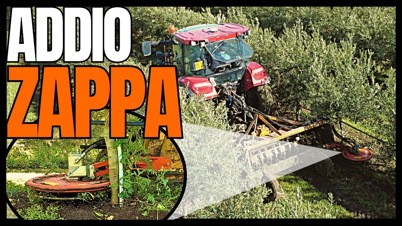 Primo passaggio TRINCIA INTERFILARE OLIVETO SUPERINTENSIVO