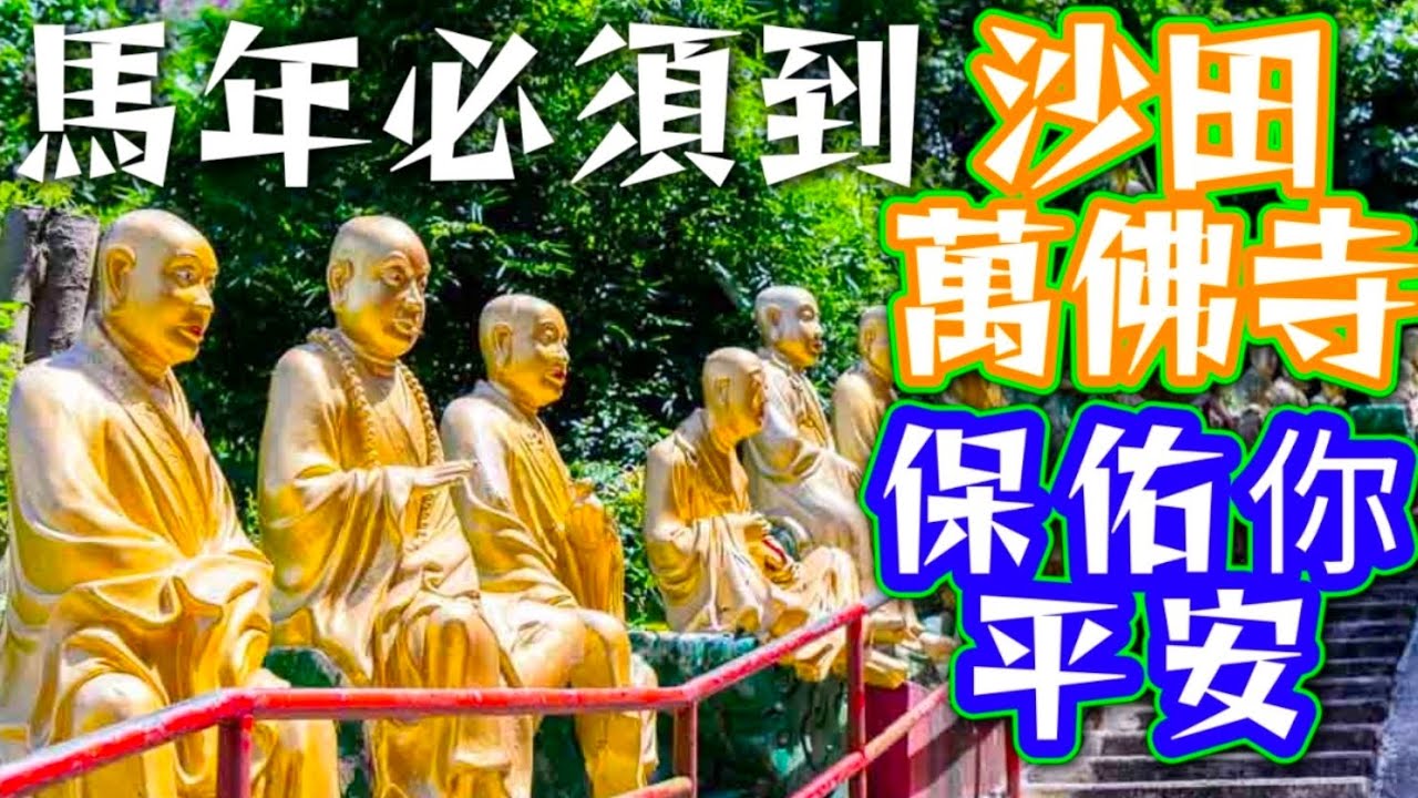 沙田萬佛寺🟡 沙田市中心 🟡步行10分鐘直達🟡香港人必到🔴內地朋友必到🟣 外國朋友必度🟢