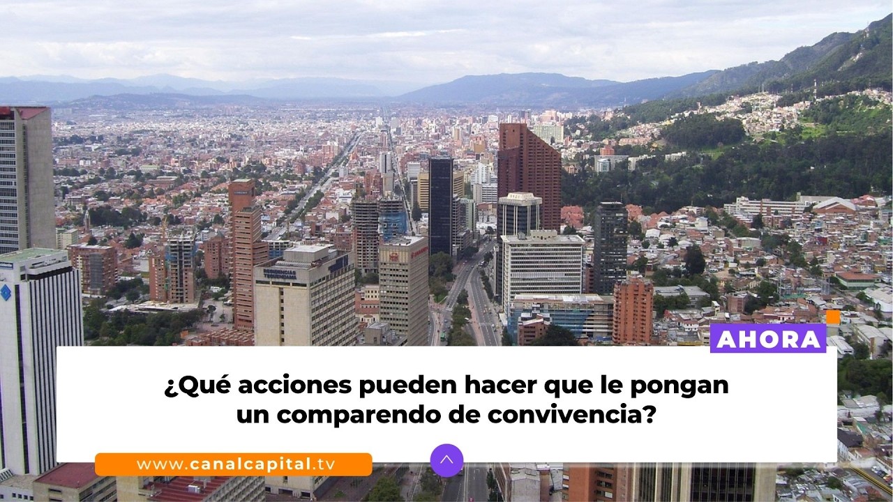 Más de 61 mil comparendos por convivencia se han impuesto en enero de 2026 | Actualidad