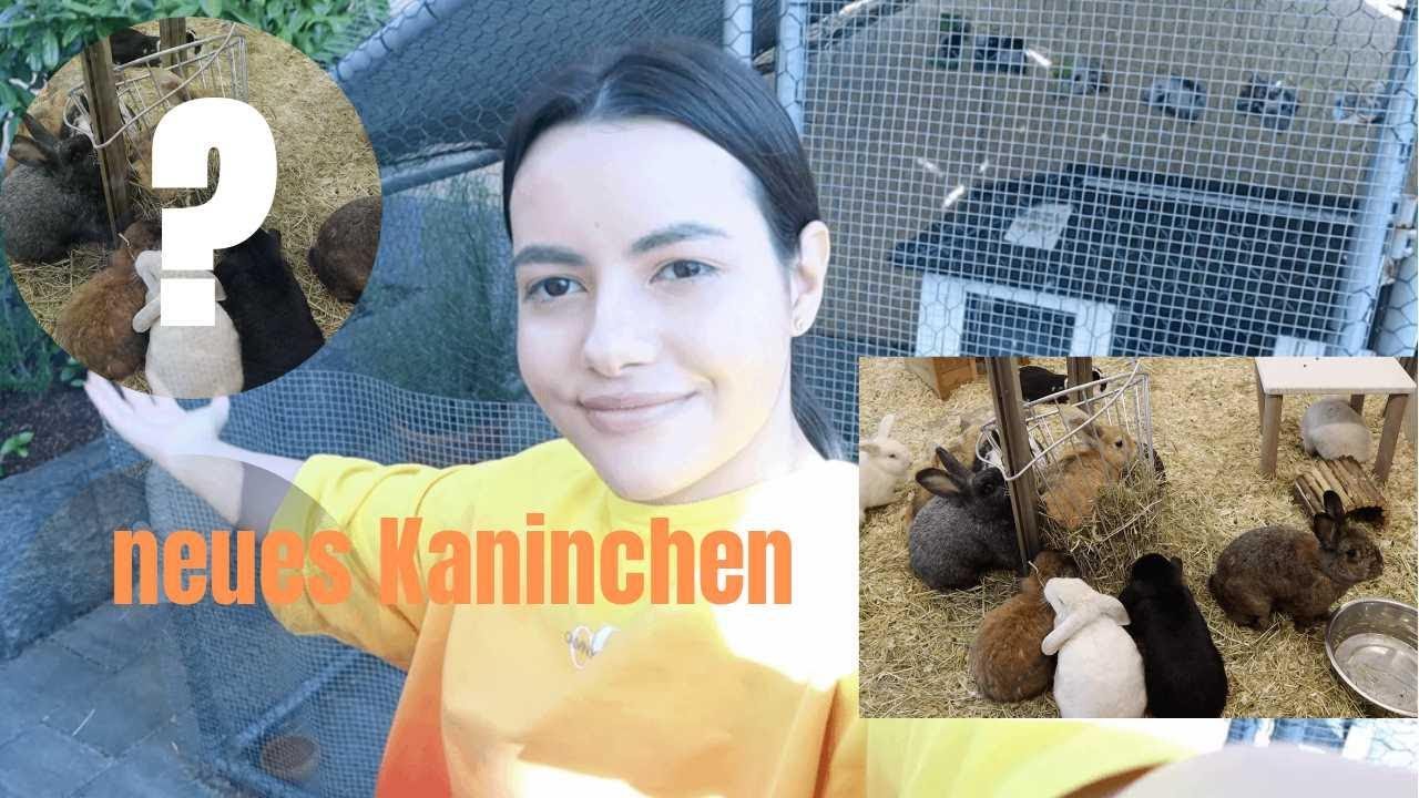 Neues Kaninchen im Tierheim ausgesucht🫢 (Verlosung beendet) | M. Mörki