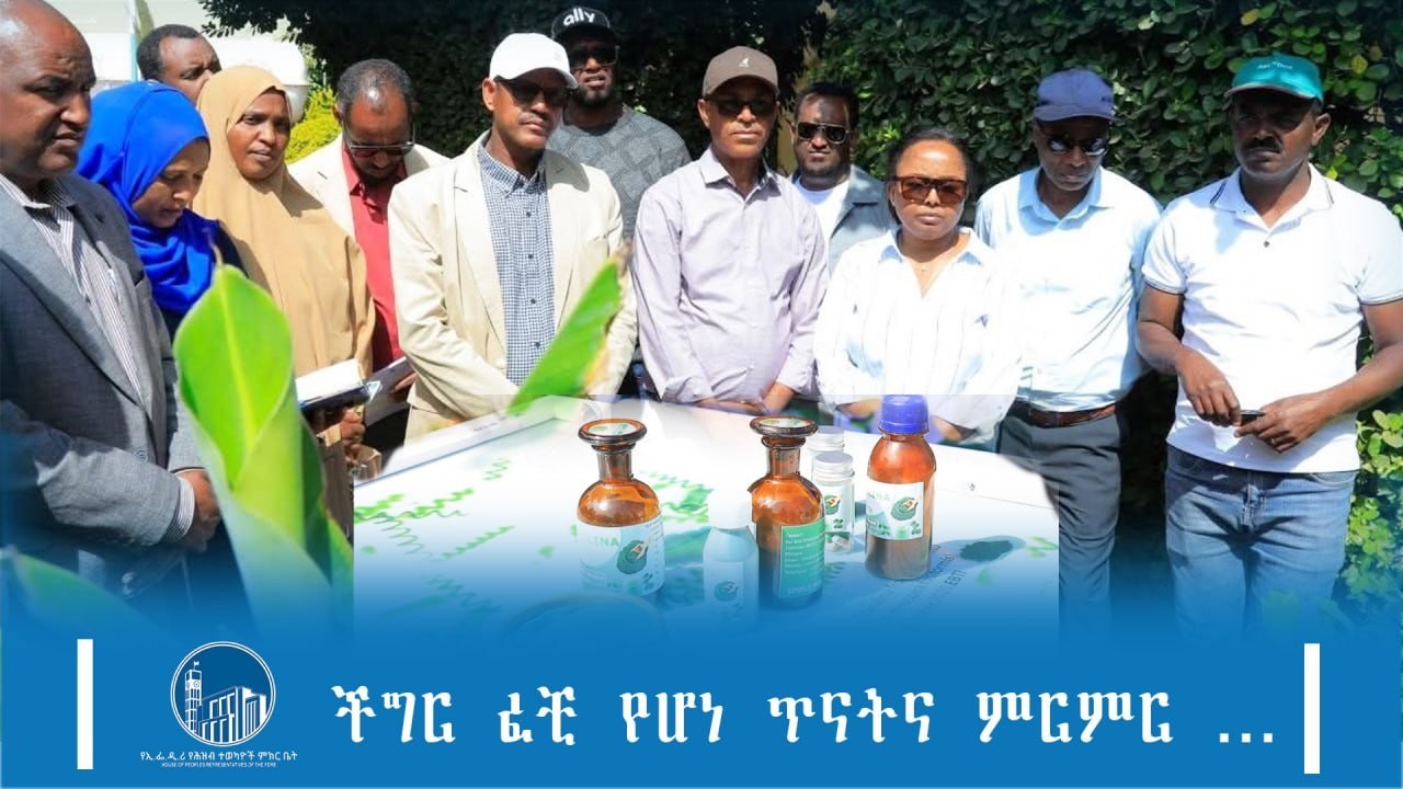 ችግር ፈቺ የሆነ ጥናትና ምርምር