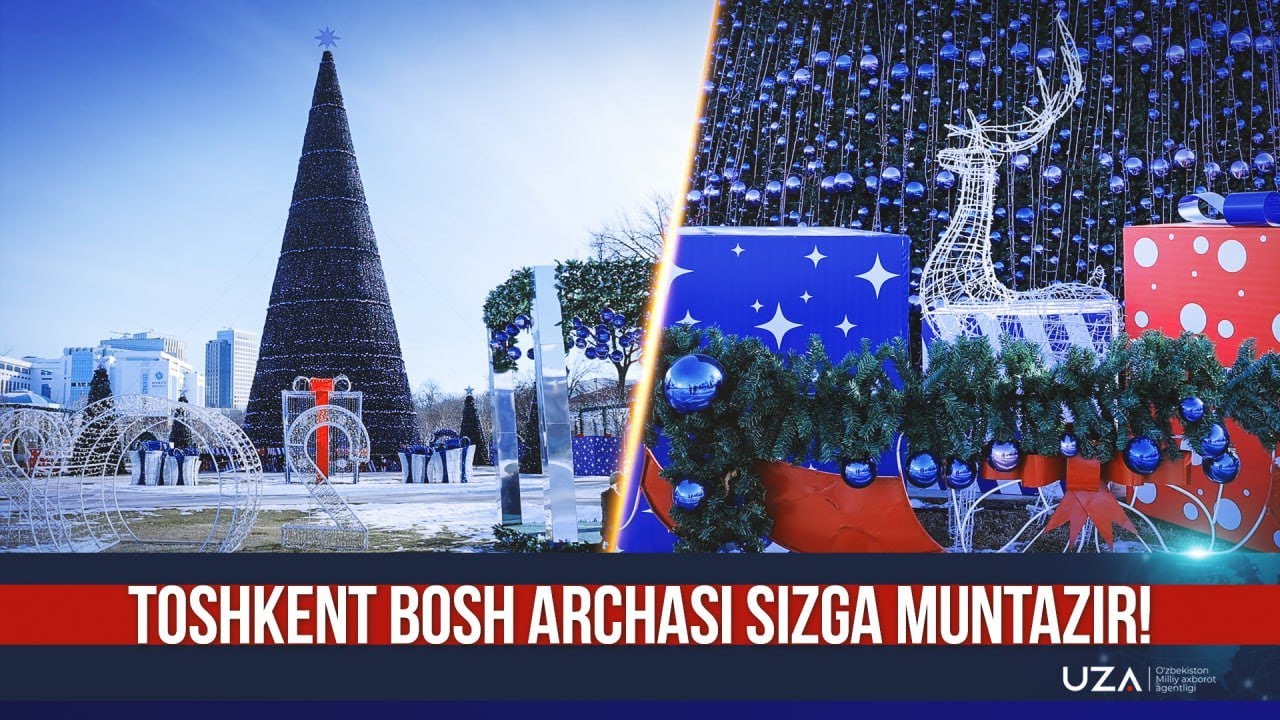 Toshkent bosh archasi sizga muntazir!