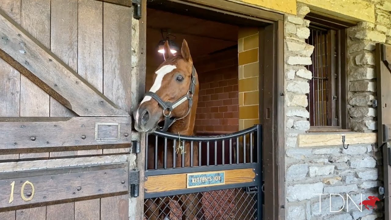 The Hill 'n' Dale Stallions Arrive at Xalapa