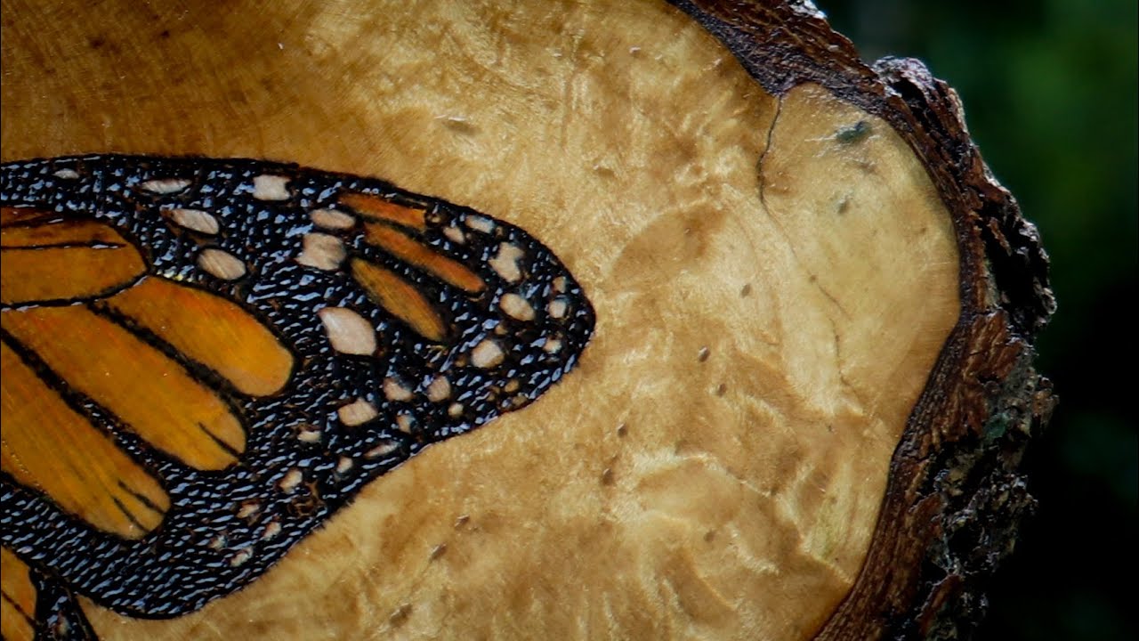 Monarch Butterfly Woodburning Art
