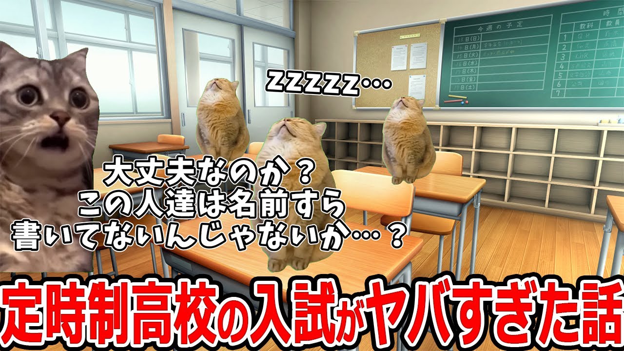 定時制高校の入試がヤバすぎた話【猫ミーム】