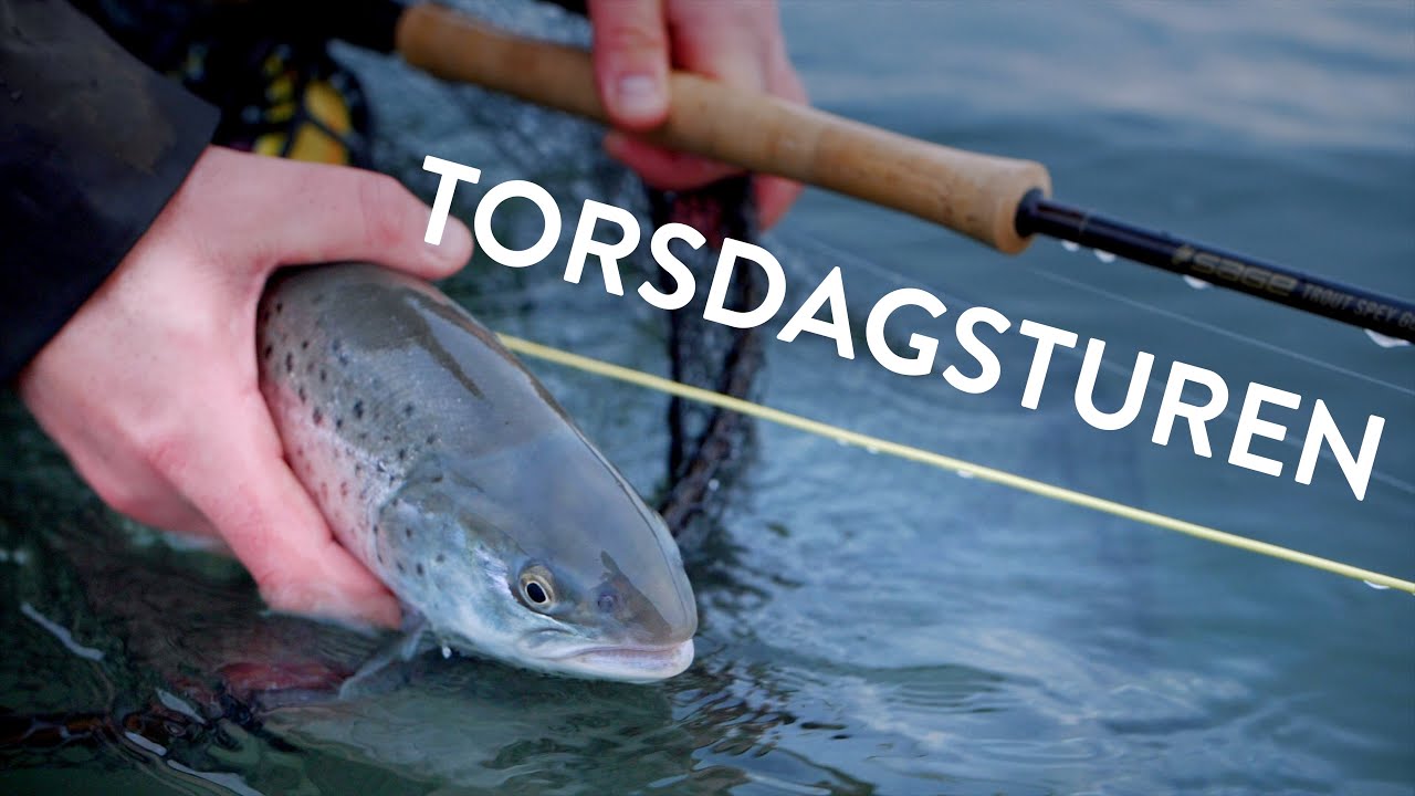 TORSDAGSTUREN 10 - Vinter havørred