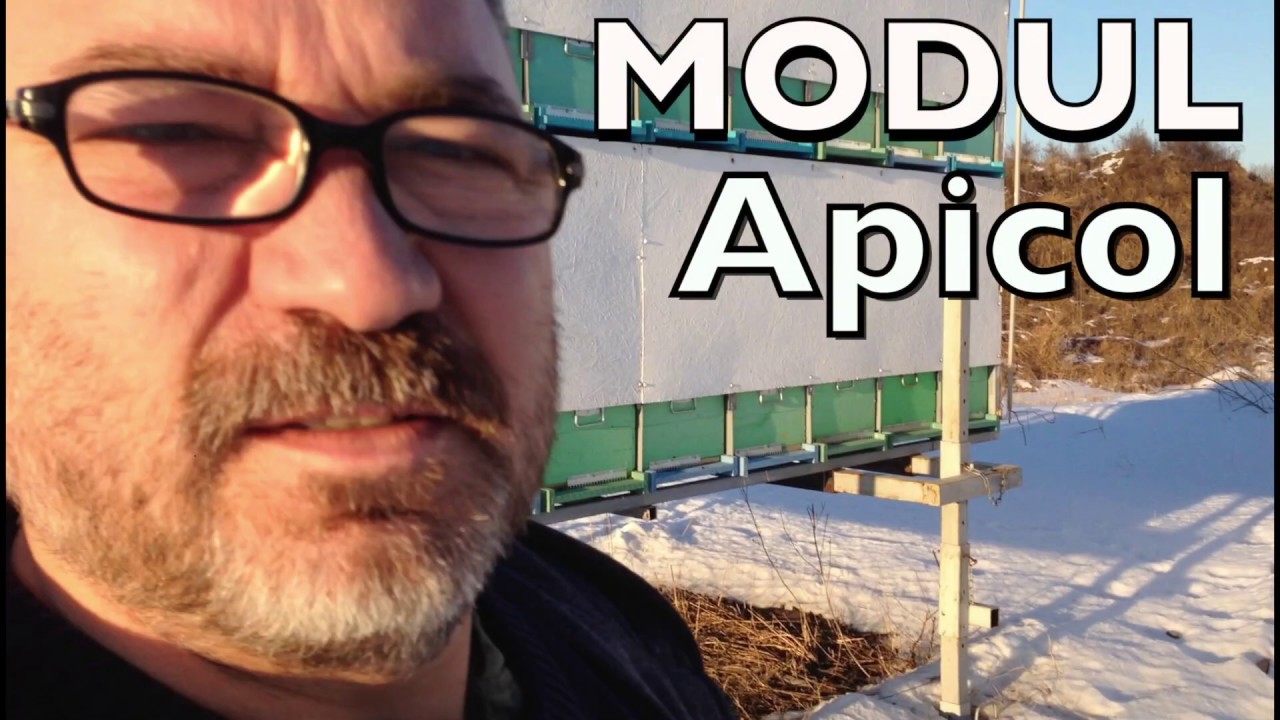 Apicultura - Module Apicole  - Pavilion Bee Vlog