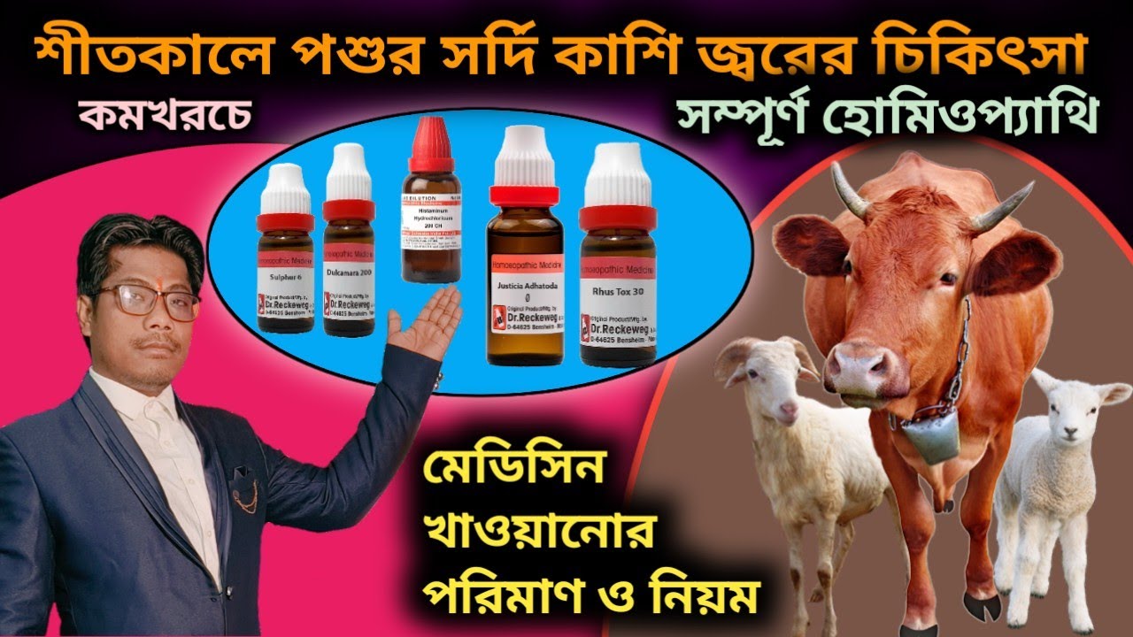 পশু চিকিৎসা |ছাগলের সর্দি কাশি জ্বর |Goat treatment | veterinary homeopathic medicine