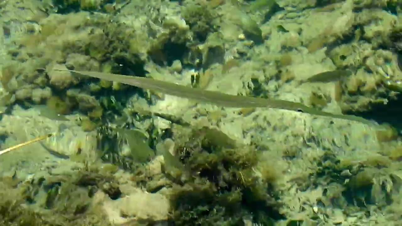 Videod from the harbour wall at Paphos    HD 1080p