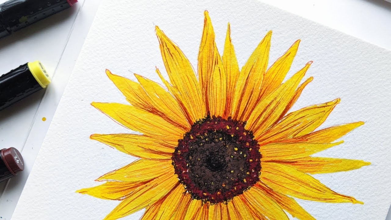 [ASMR] How to Draw a Sunflower With Markers