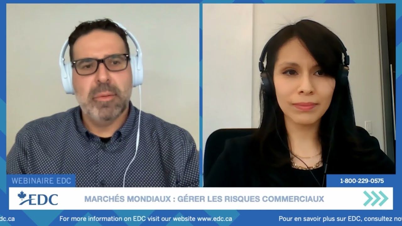 Canada&rsquo;s Minerals & Metals | EDC Global Outlook Insights