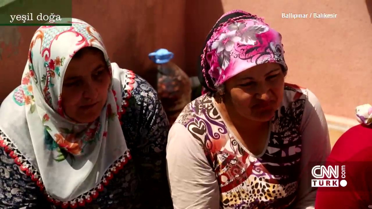 Yeşil Doğa - 30 Ekim 2016