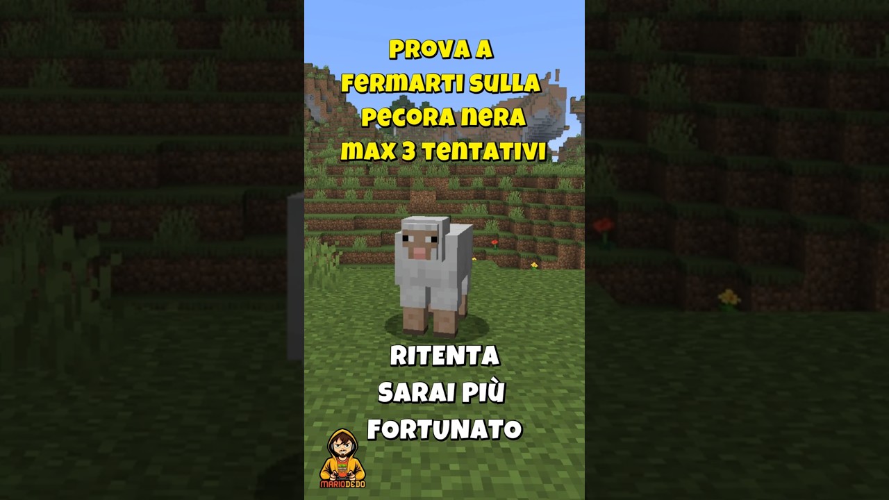 Sfida Minecraft: trova la pecora nera 🐑⚫ Minecraft #minecraft #bestminecraftclips #minecraftquiz