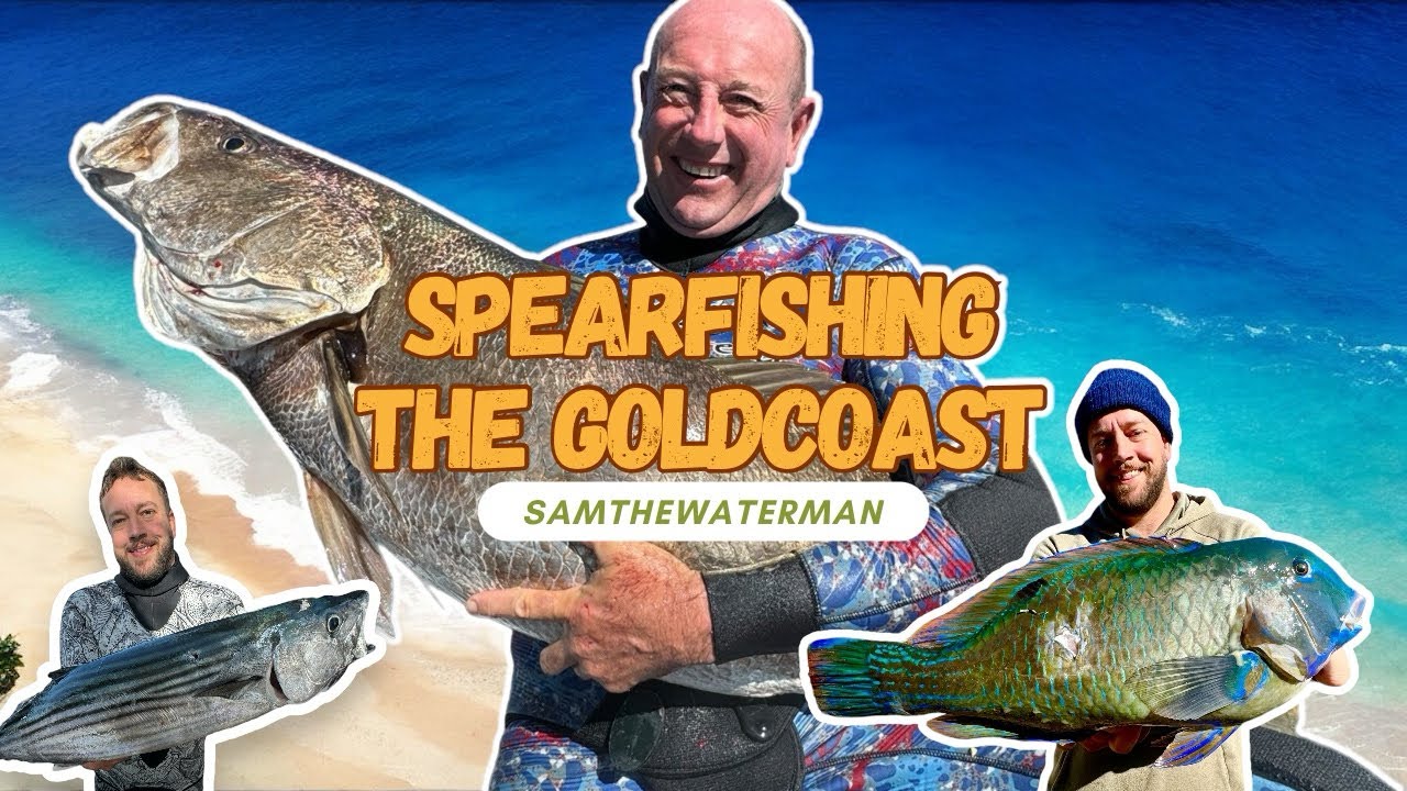 Spearfishing 20kg+ GOLD COAST JEWFISH! + We Enter Our First Cooking Competition!