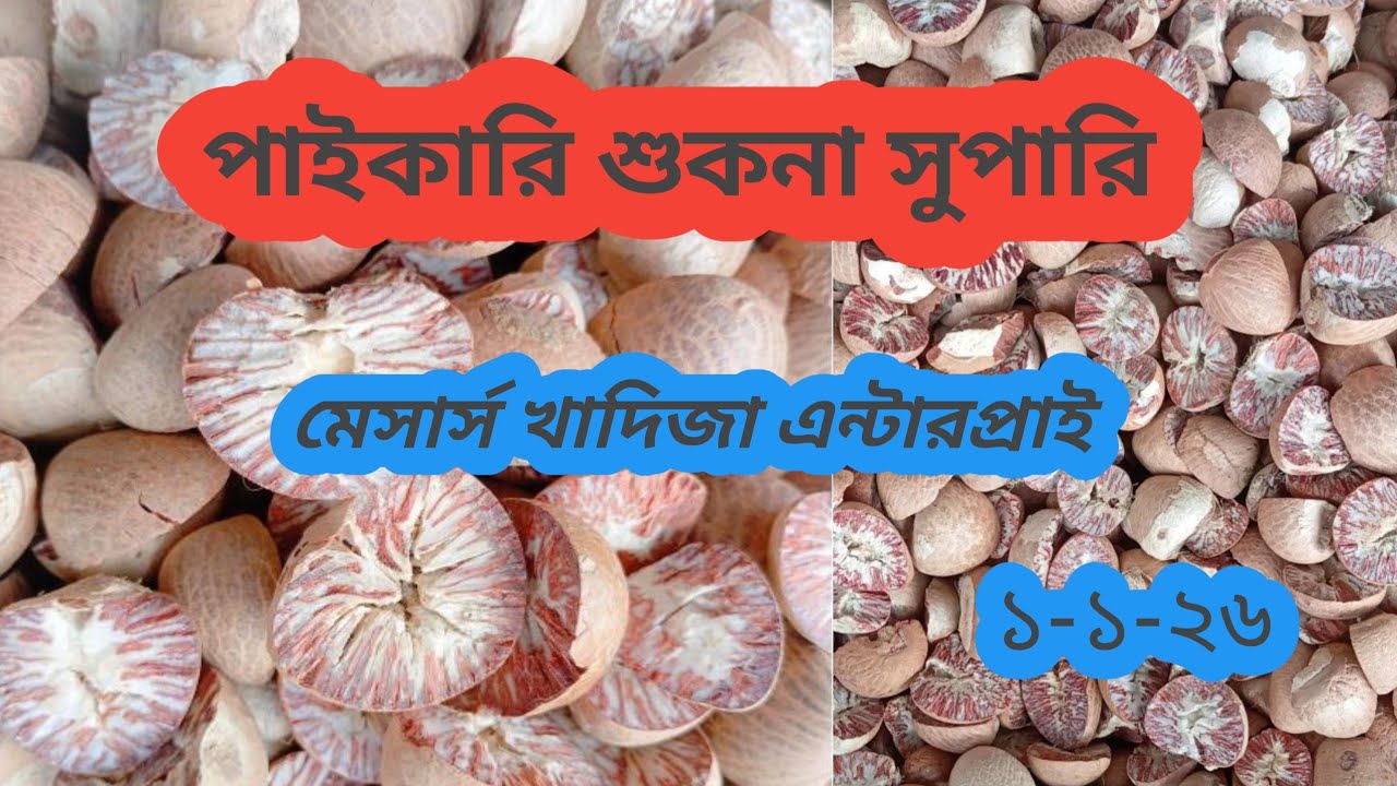 পাইকারি শুকনা সুপার  মেসার্স খাদিজা এন্টারপ্রাইজ  ১-১-২৬
