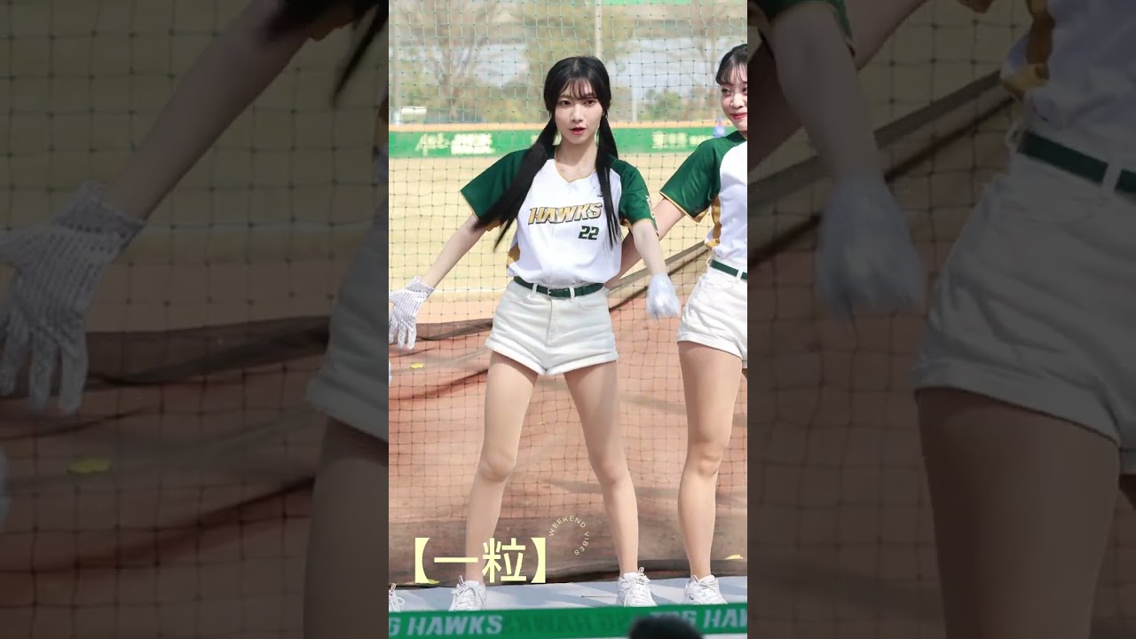 2024台鋼雄鷹 Wing Starsㄧ粒 熱身賽應援