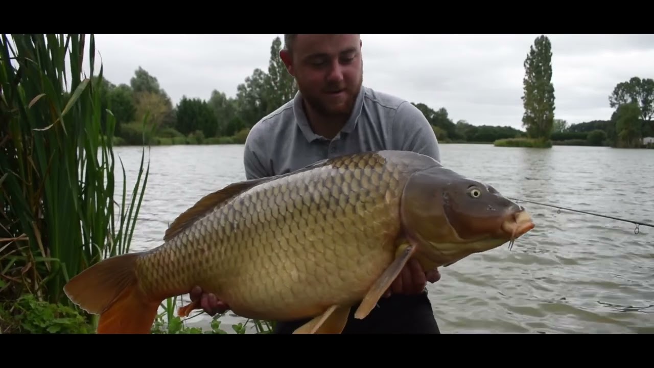 STARBAITS MASS BAITING! Nowość 2024!