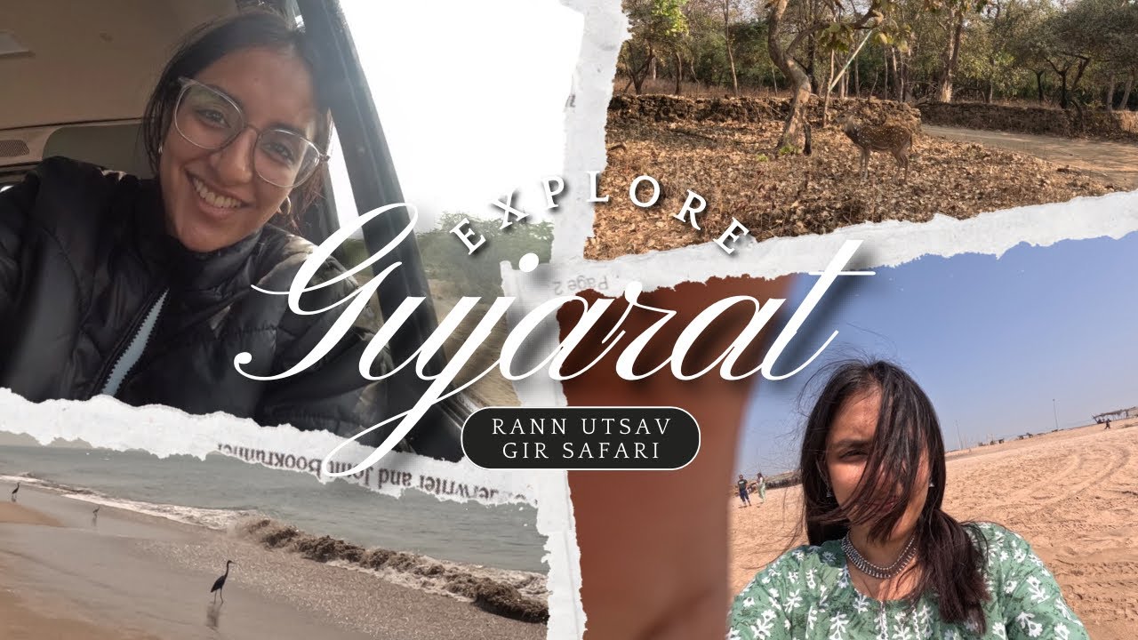 Gujarat Trip Vlog 🐪🦁|White desert to Lion safari