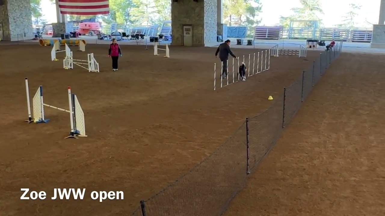 Dog Agility Club of Ventura AKC Trial Jan 24 Mutya & Zoe Industry, CA