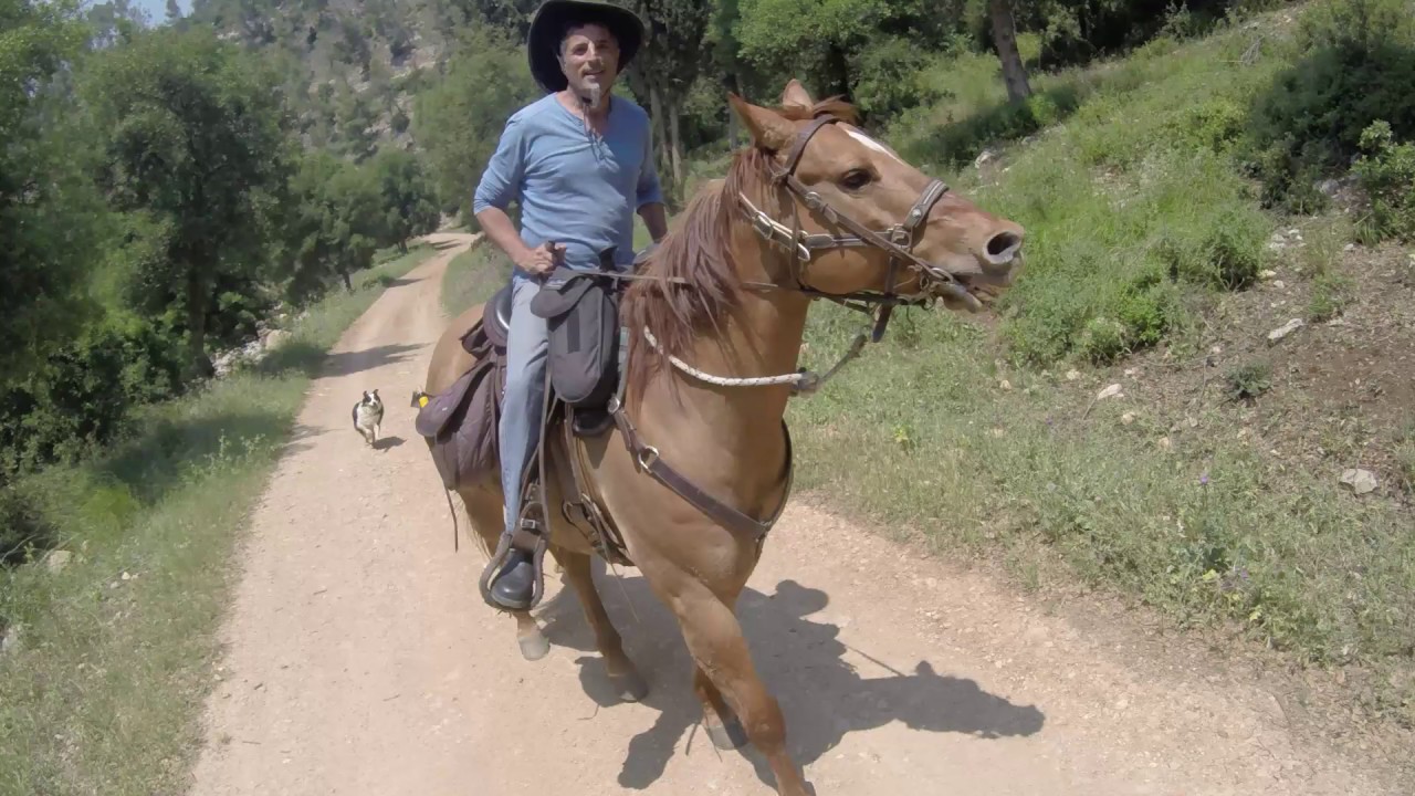 טיול סוסים אפריל 2018 הרי ירושלים