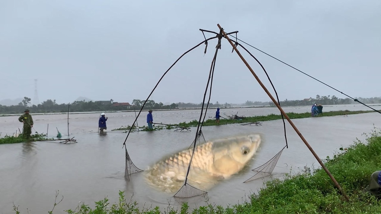 Những Pha Kéo Vó Mùa Lũ Có 102