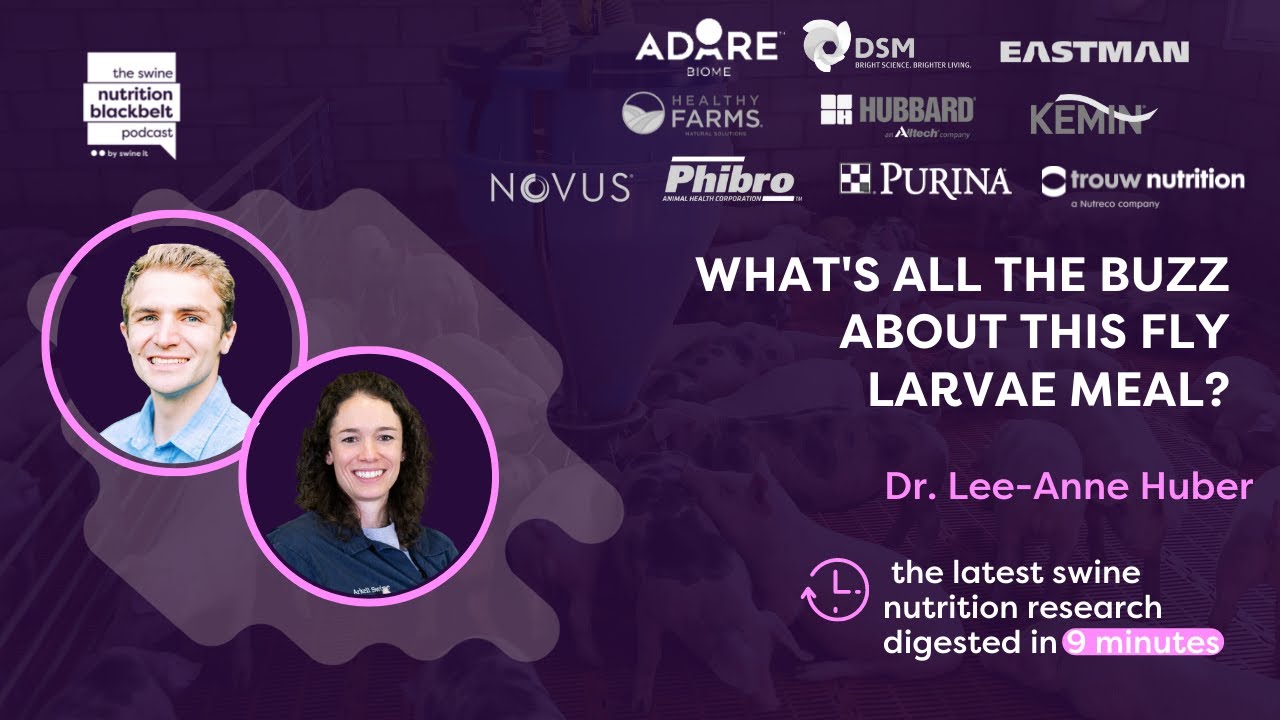 Dr. Lee-Anne Huber: Fly Larvae Meal in Swine Nutrition | Ep. 31