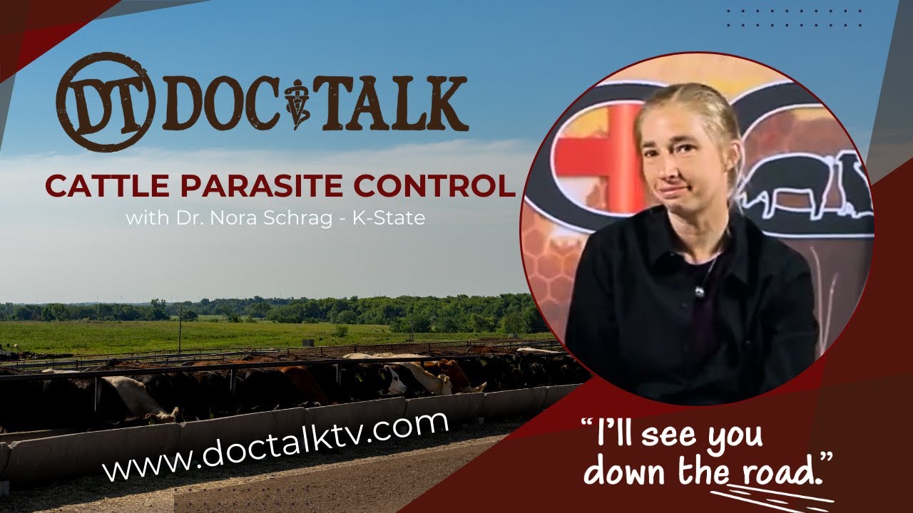 DocTalk Ep 264 - Cattle Parasite Control with Dr. Nora Schrag