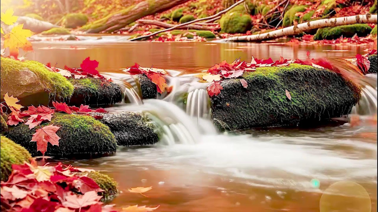 Soothing River Sound for Deep Sleep | Natural White Noise for Wellness & Calm Mind