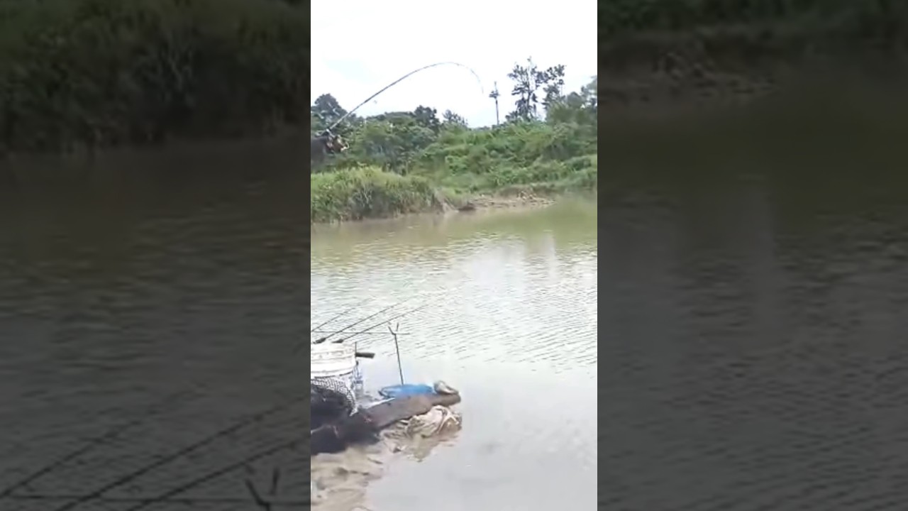 kocak saat mancing lepas