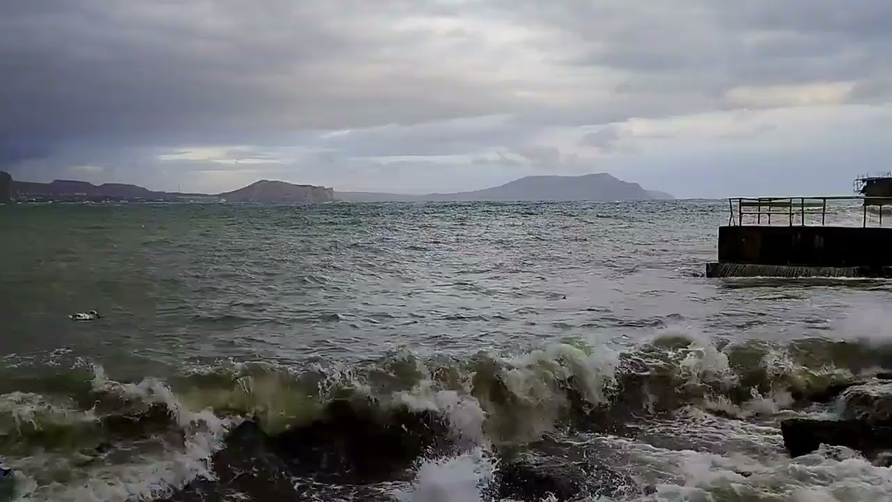 Одинокий лебедь в штормящем море. Январь.