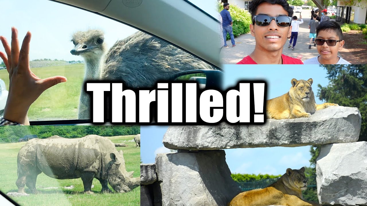 WE MET LIONS 🦁 - AFRICAN WILDLIFE SAFARI VLOG IN TAMIL | VelBros
