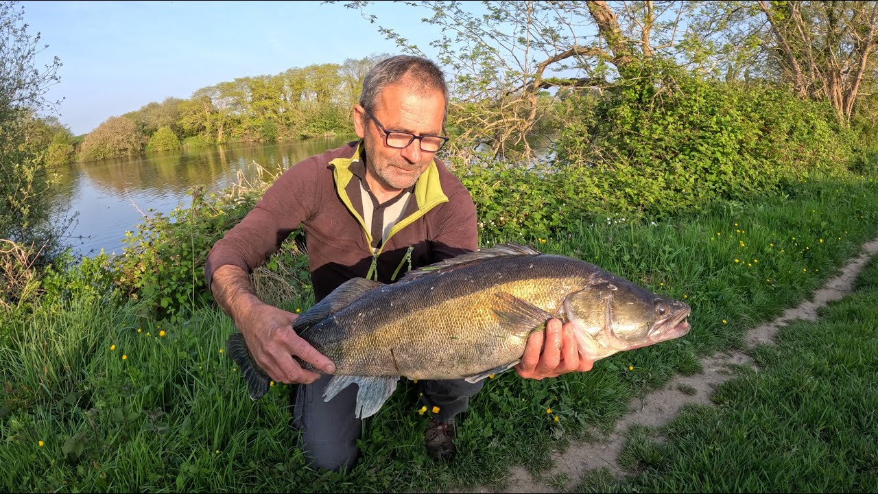 La pêche des carnassiers : brochet, perche, et sandre.